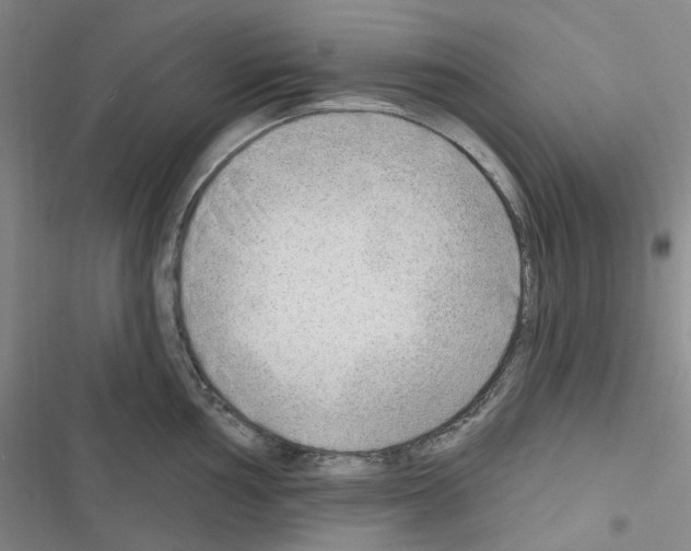 X0000116651002201001251153