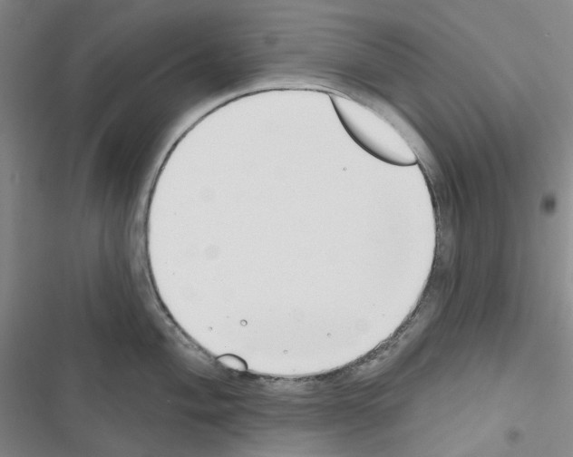 X0000116651004201001251153