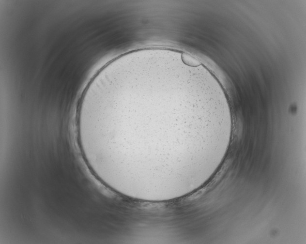 X0000116651006201001251153