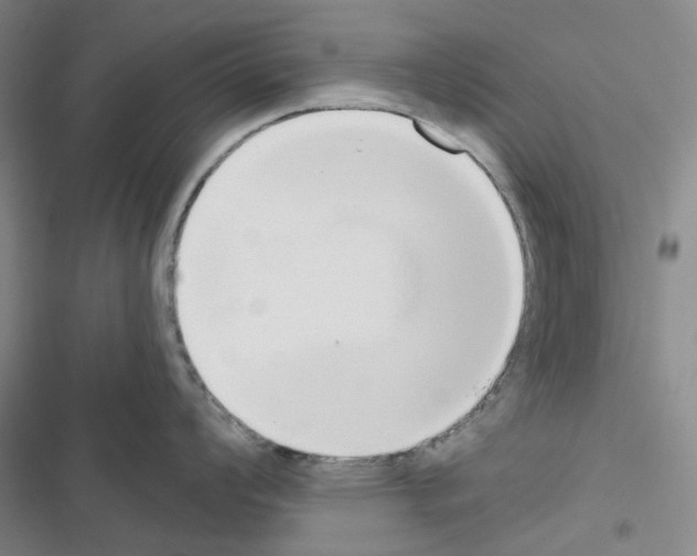 X0000116651008201001251153