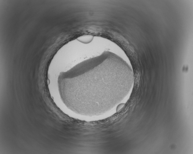 X0000116651009201001251152