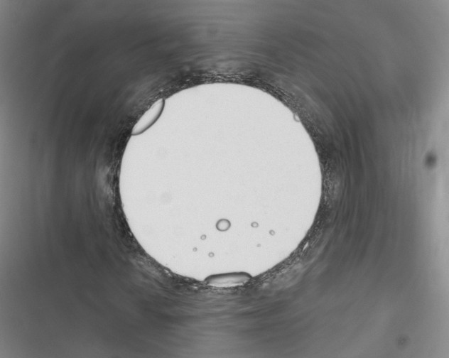 X0000116651010201001251152