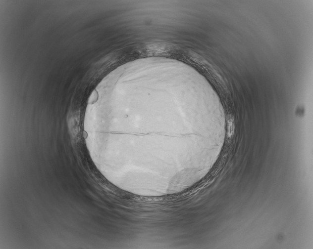 X0000116651011201001251152