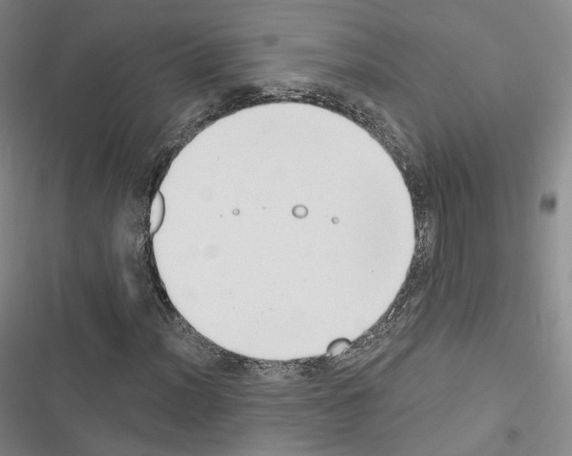 X0000116651012201001251152