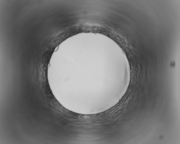 X0000116651013201001251152