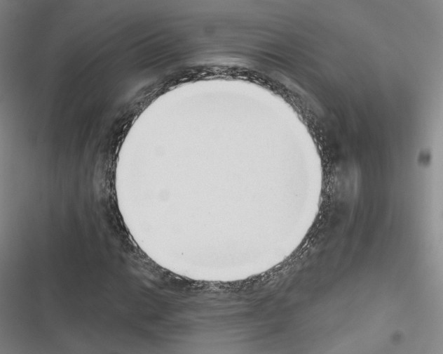 X0000116651014201001251152