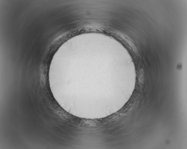 X0000116651015201001251152