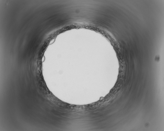 X0000116651016201001251152