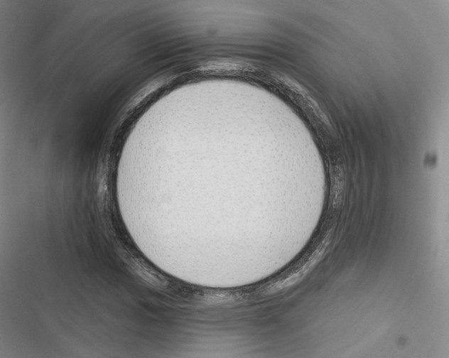 X0000116651017201001251152