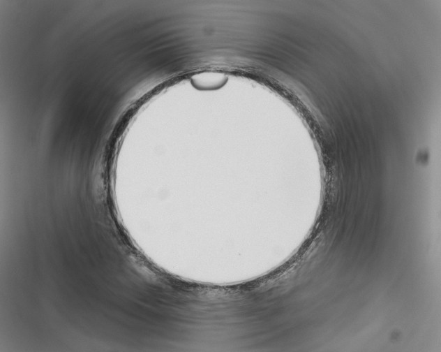 X0000116651018201001251152