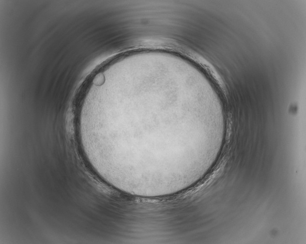 X0000116651019201001251152