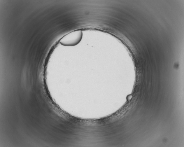 X0000116651020201001251152