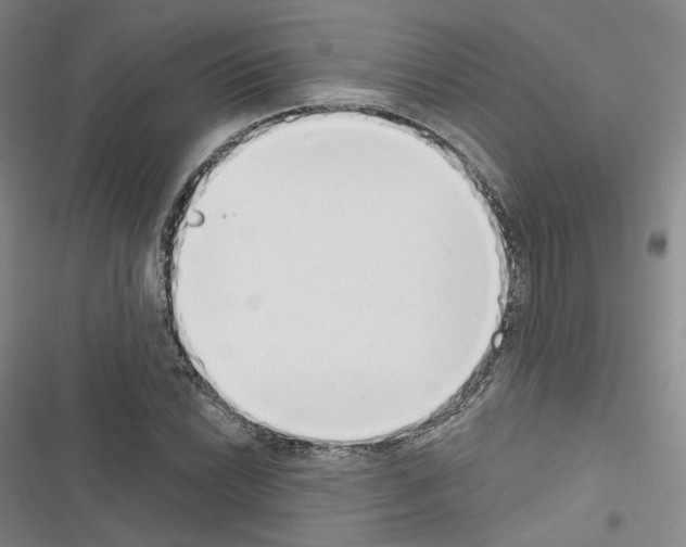 X0000116651022201001251152