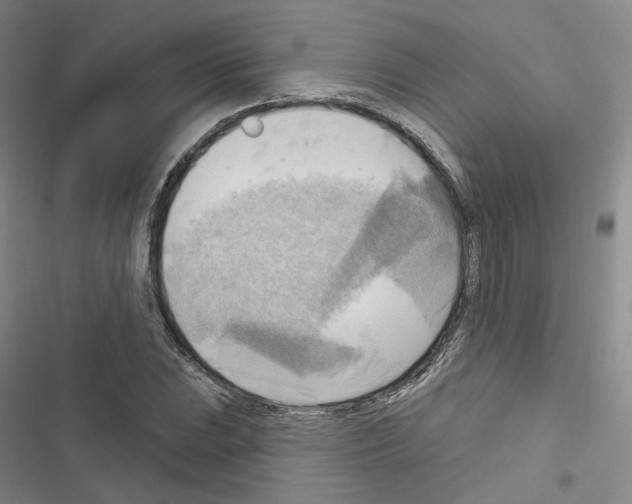 X0000116651023201001251152