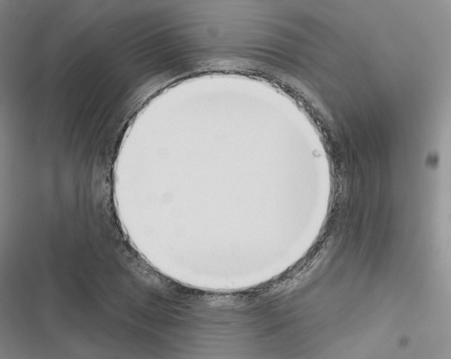 X0000116651025201001251152