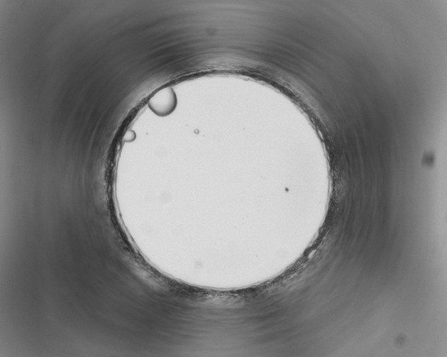 X0000116651026201001251152