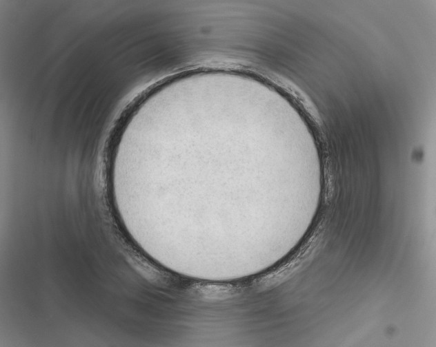 X0000116651027201001251152