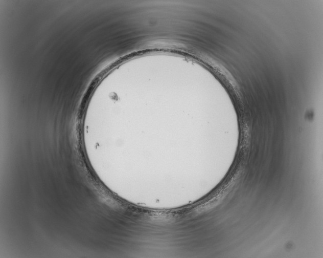 X0000116651029201001251152