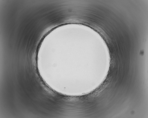 X0000116651030201001251152