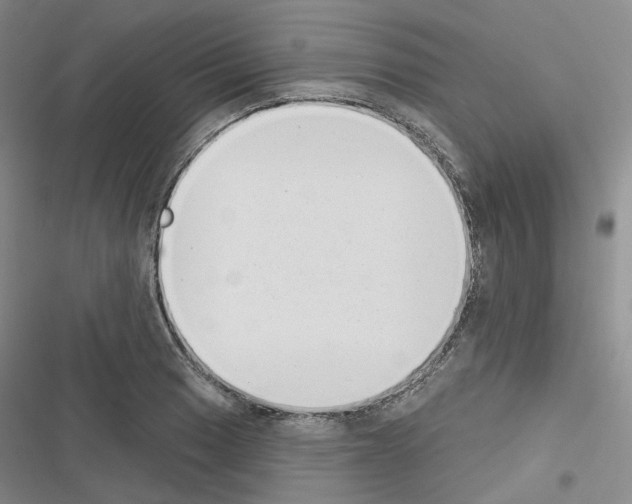 X0000116651033201001251152