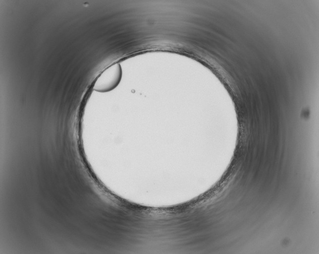 X0000116651034201001251152