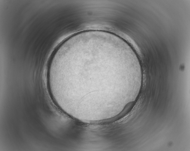 X0000116651035201001251152