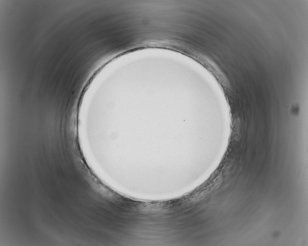 X0000116651036201001251152