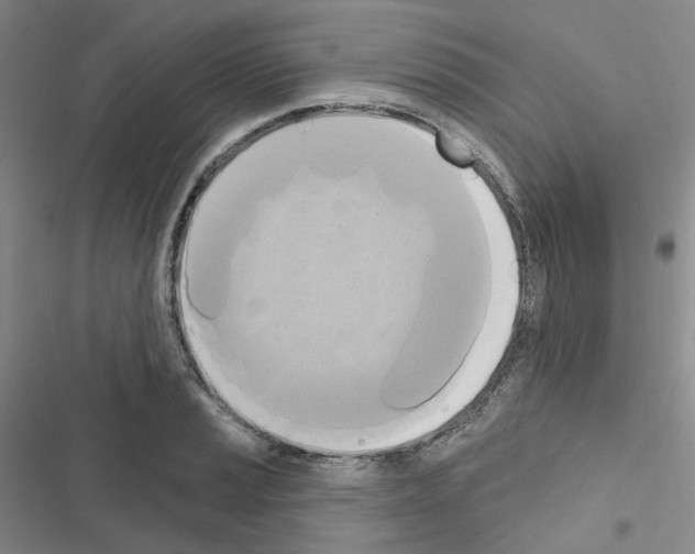 X0000116651037201001251152