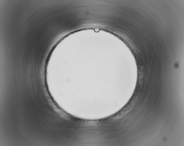 X0000116651038201001251152