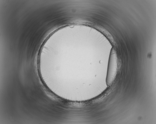X0000116651039201001251153
