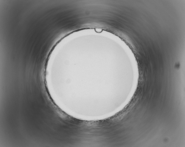 X0000116651040201001251153