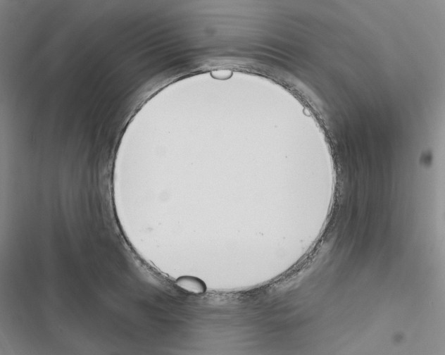 X0000116651041201001251153