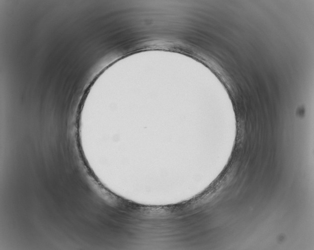 X0000116651042201001251153