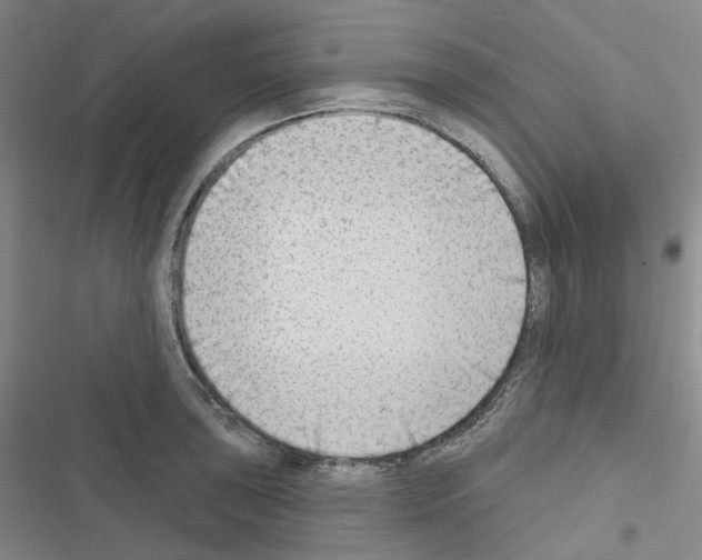 X0000116651043201001251153