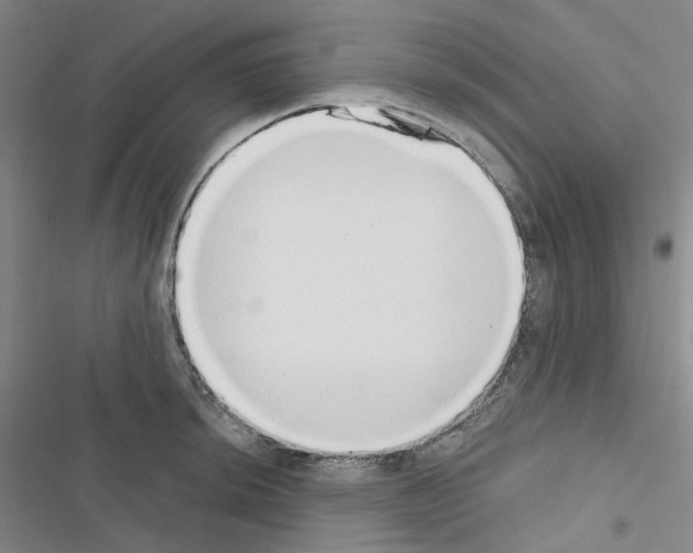 X0000116651044201001251153