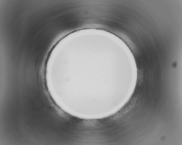 X0000116651046201001251153