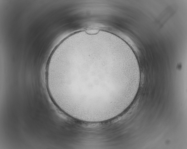 X0000116651047201001251153