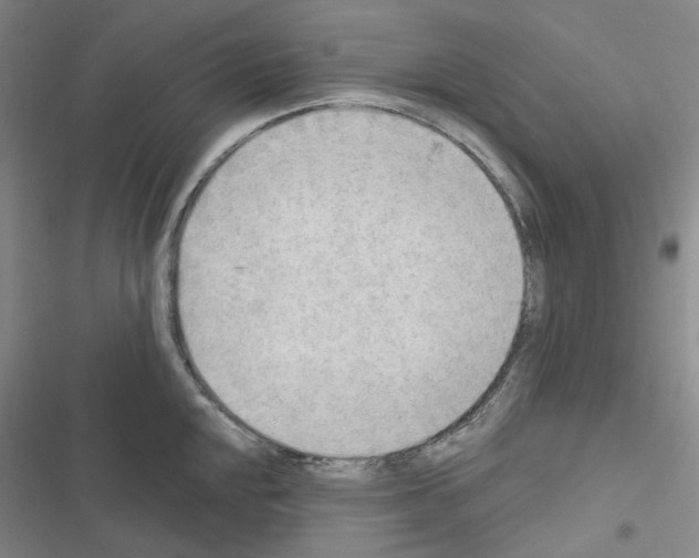 X0000116651048201001251153