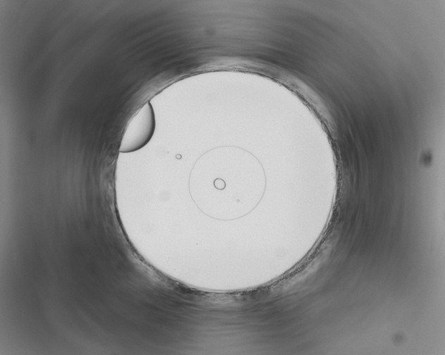 X0000116651049201001251153