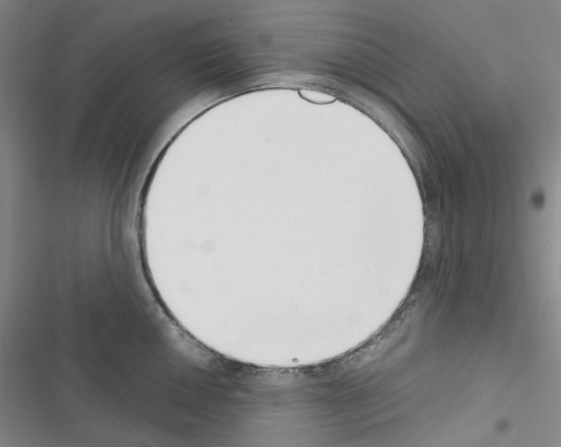 X0000116651050201001251153