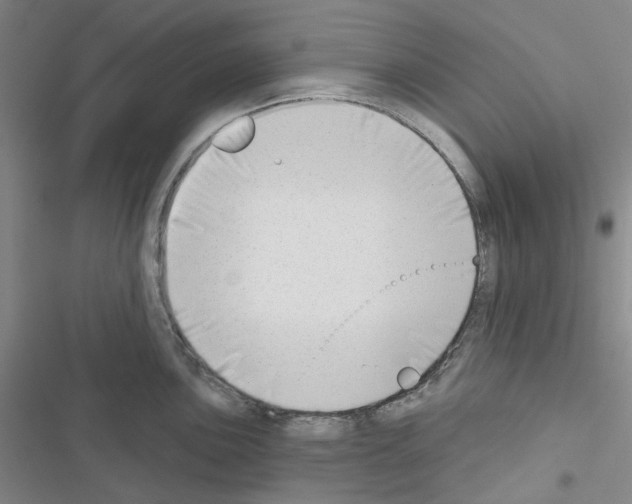 X0000116651051201001251153