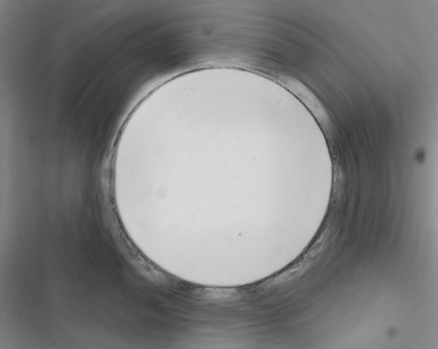 X0000116651052201001251153