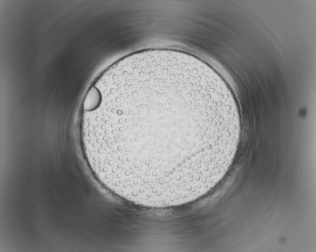 X0000116651053201001251153