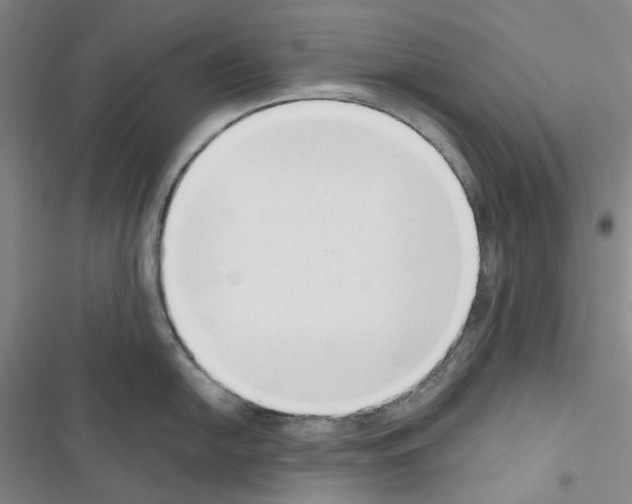 X0000116651054201001251153