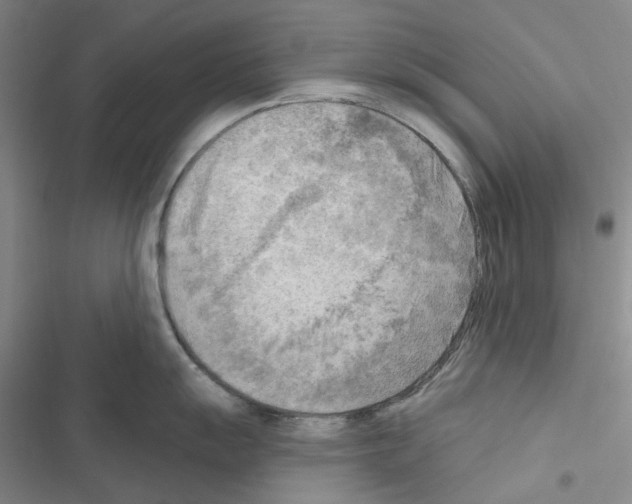 X0000116651055201001251153