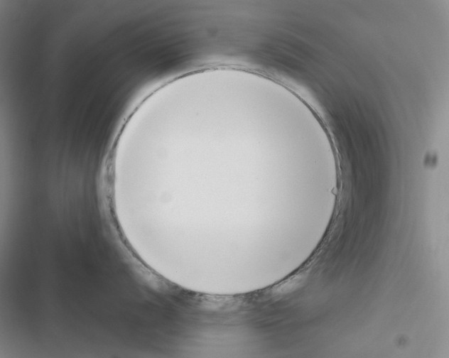 X0000116651056201001251153