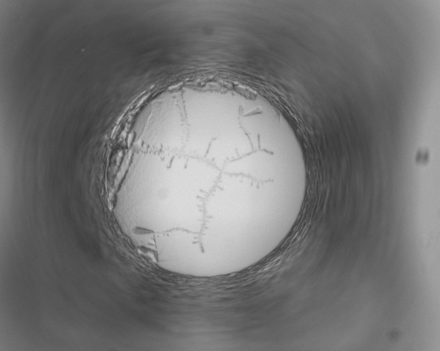 X0000116651057201001251152