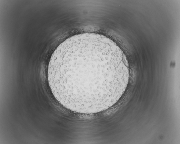 X0000116651058201001251152