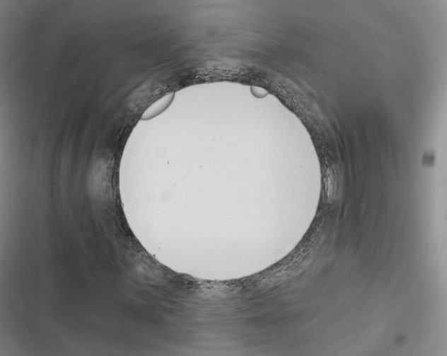 X0000116651059201001251152