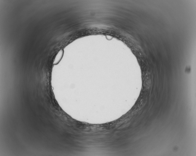 X0000116651061201001251152